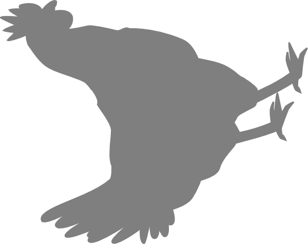 How To Set Use Chicken Clipart (600x475), Png Download