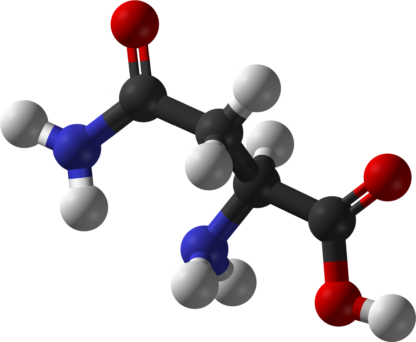 L Asparagine 3d Balls - Cd Spectrum Of Enantiomers (1535x1282), Png Download