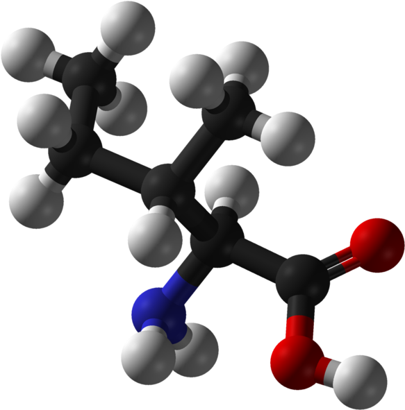 L Isoleucine 3d Balls - Organic Compounds (640x648), Png Download