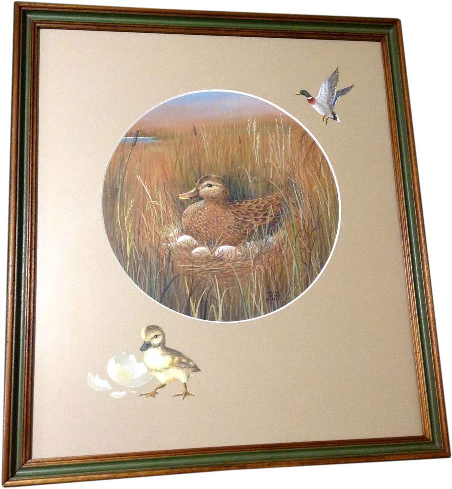 Jeanne Horak, Mallard Duck On A Nest, Works On Paper - Painting (977x977), Png Download