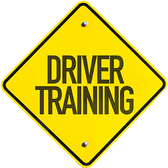 Additional Services We Offer - Maui Ocean Center (349x350), Png Download