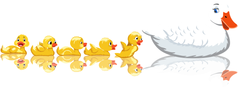 Go To Image - Pond (900x300), Png Download