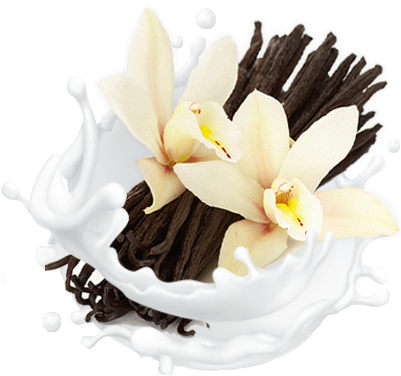All Natural Vanilla Bliss - Vanilla Png (400x400), Png Download