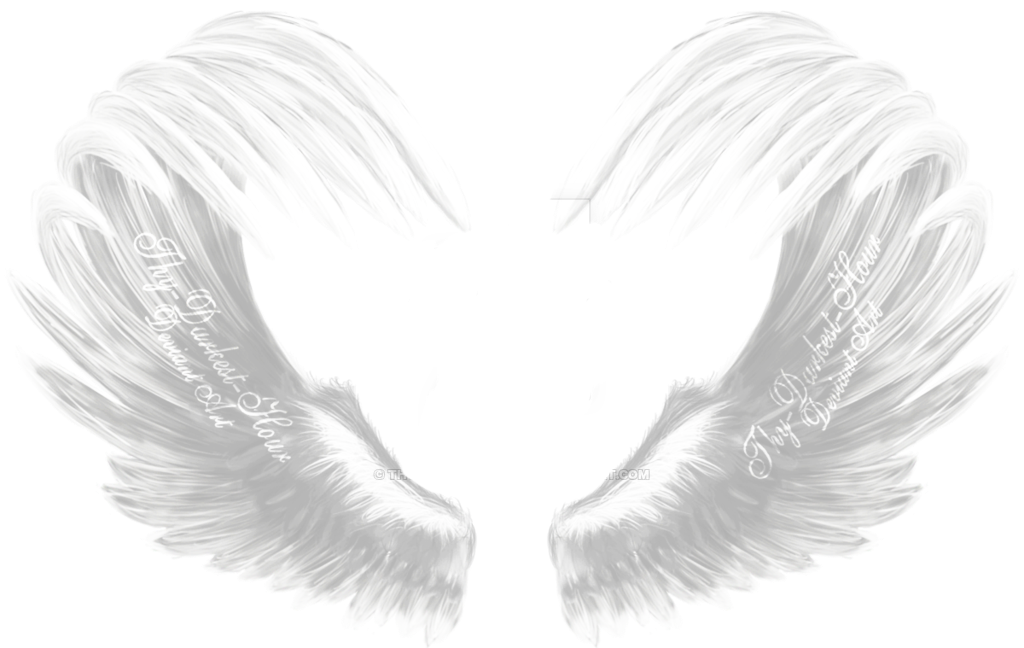 Report Abuse - Water Bird (1024x648), Png Download