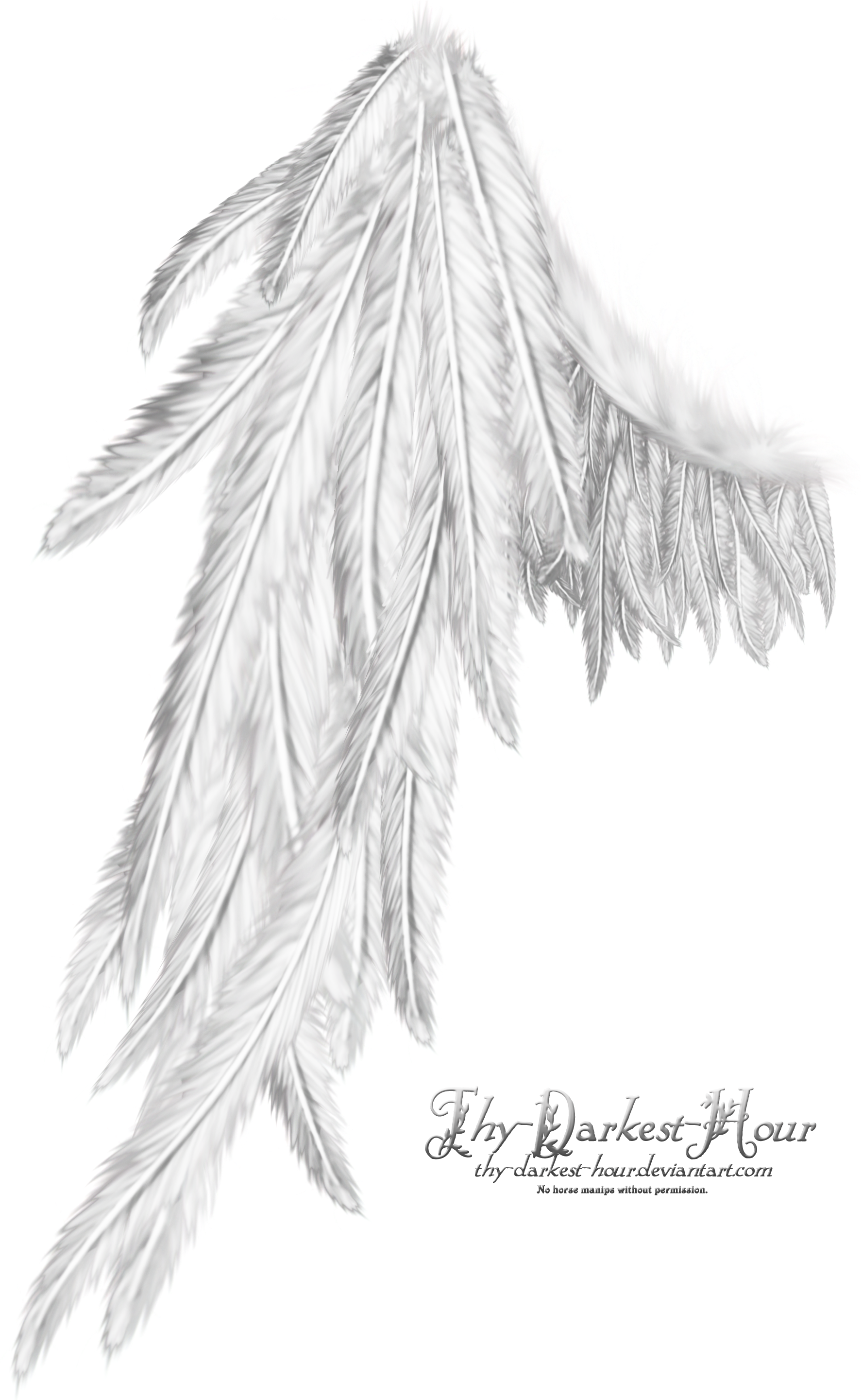 Wings - Wing White (1822x2880), Png Download