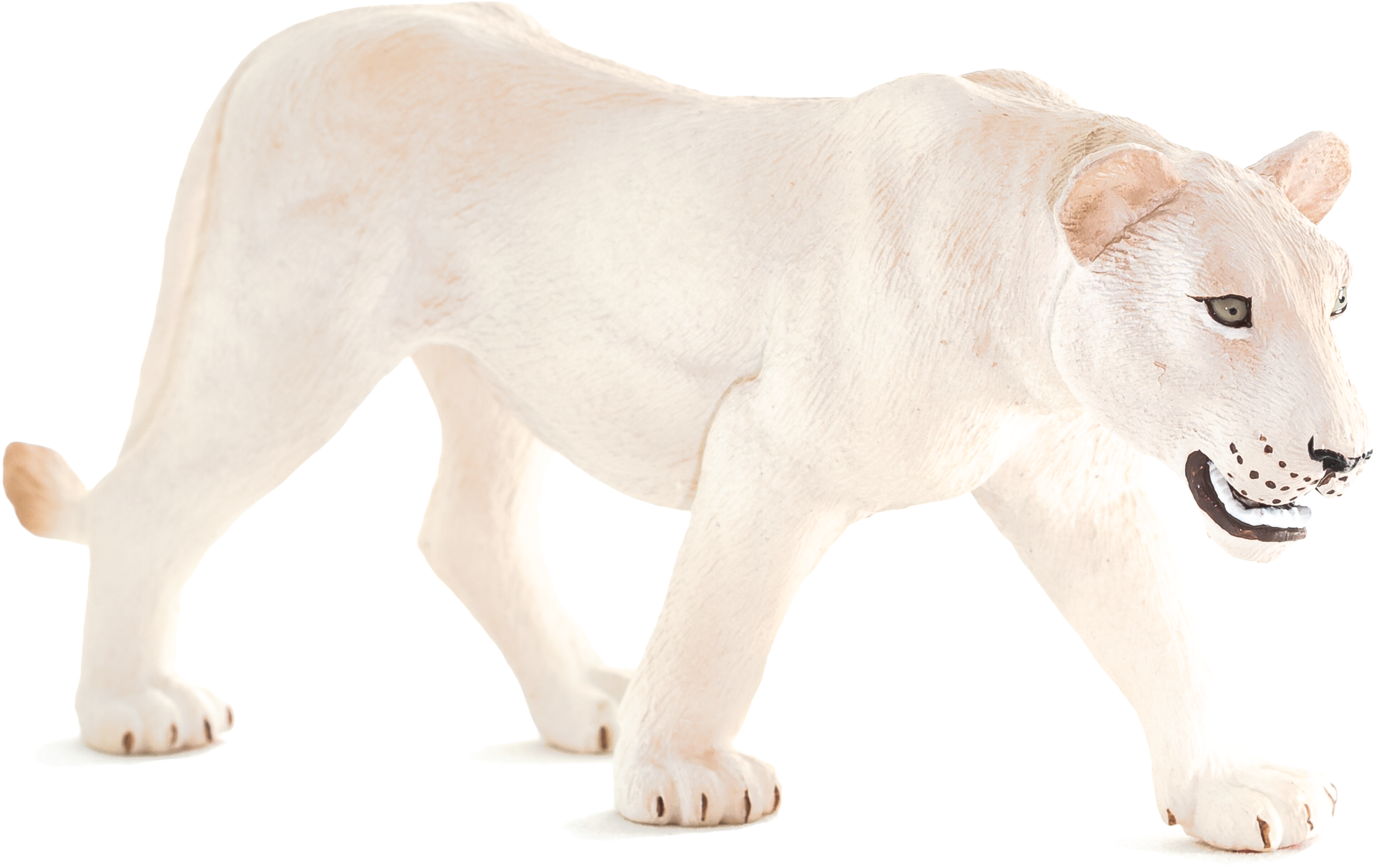 Animal Planet: White Lioness (5616x3744), Png Download