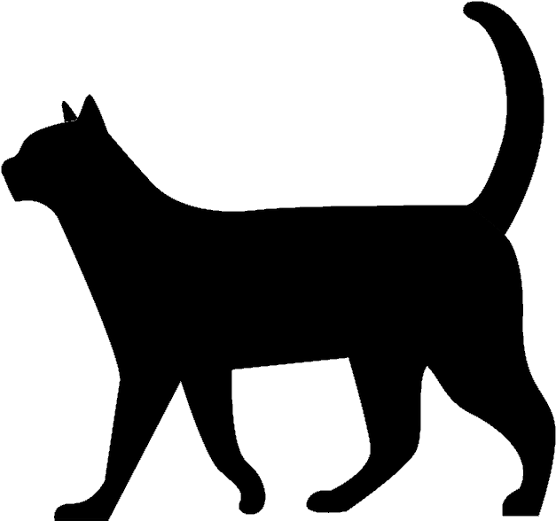 Invisible Lioness - Black Cat Walking Silhouette (800x800), Png Download