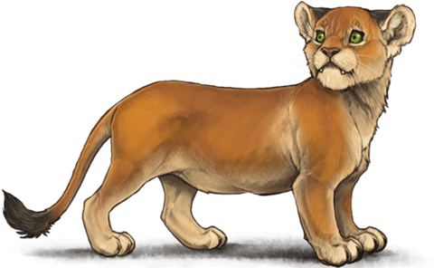 Charmed Dwarf Lioness Lioden (640x500), Png Download