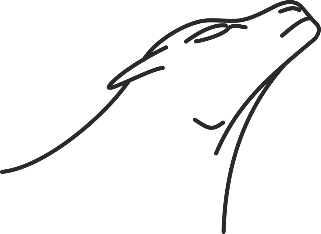 Line Art Drawing Lion Monochrome - Drawing (1030x750), Png Download