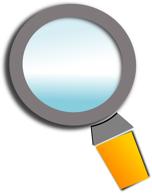 Find, Inspect, Search, Detect, Loupe, Magnifying Glass - Portable Network Graphics (503x640), Png Download