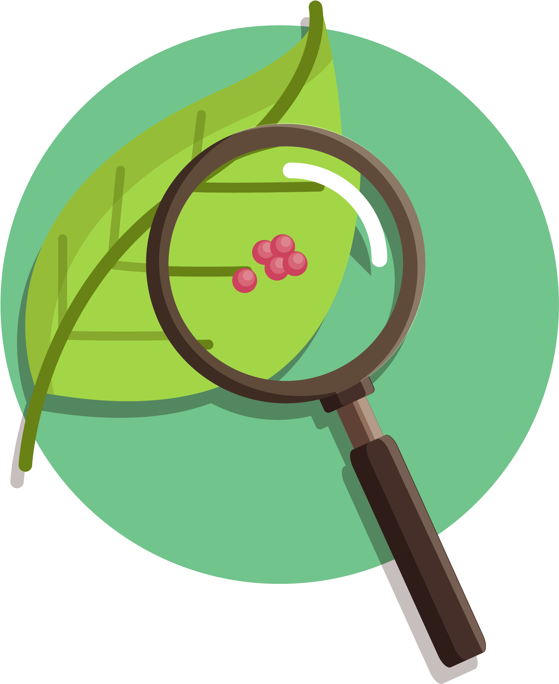 Nature Vs - Nurture - Nature Vs Nurture Transparent (2480x2480), Png Download