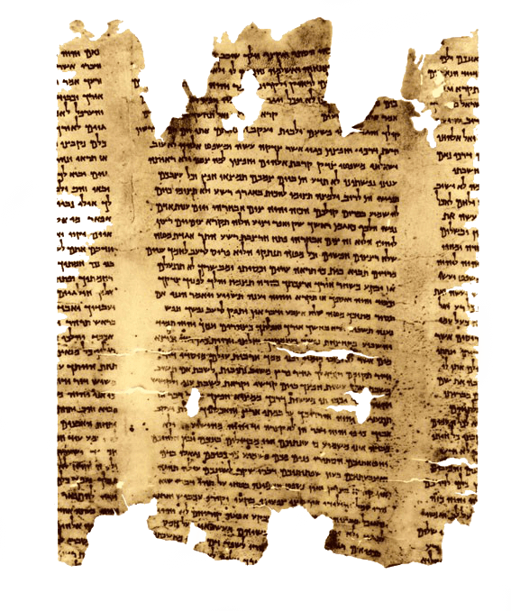 Dead Sea Scrolls - Bible 101--old Testament: Bible Study (567x678), Png Download
