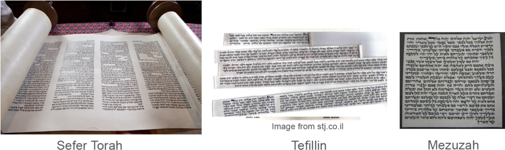 Stam-scrolls (1000x311), Png Download