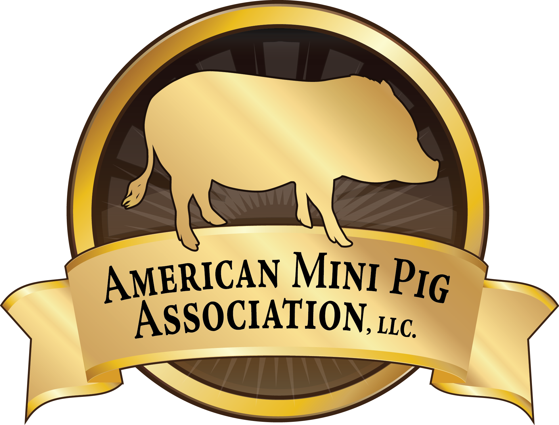 Mini Pig Ice Cream Cake For All Occassions - American Mini Pig Association (1944x1479), Png Download