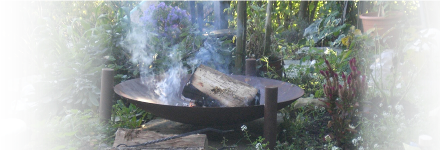 16 Oct 2016 - Rainforest (890x350), Png Download