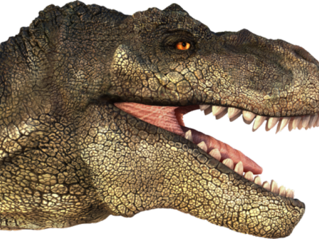 Tyrannosaurus Rex Clipart Transparent - T Rex Head Png (640x480), Png Download
