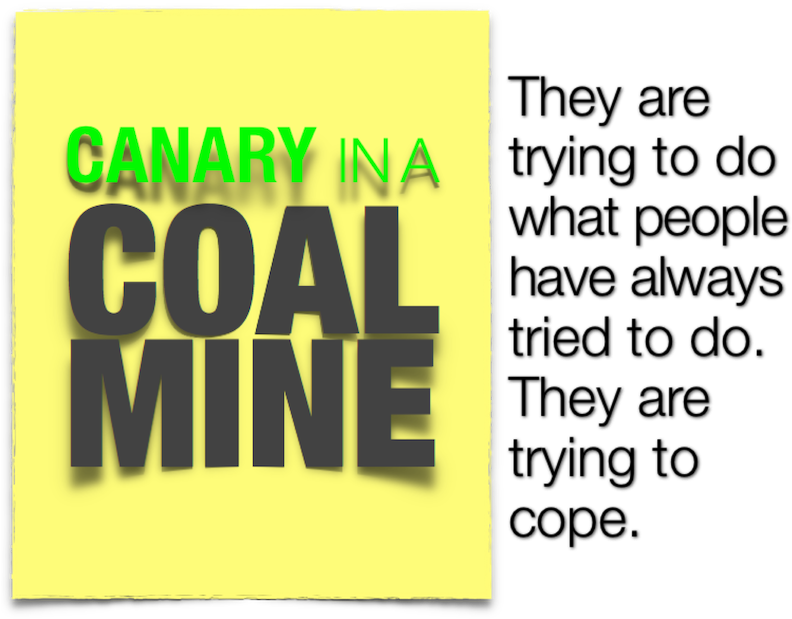 Canary In A Coal Mine Email - Coal Mining (800x627), Png Download