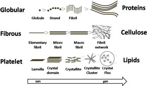 The Large Potential Of Small Angle Scattering And Nmr - Small-angle Scattering (530x291), Png Download