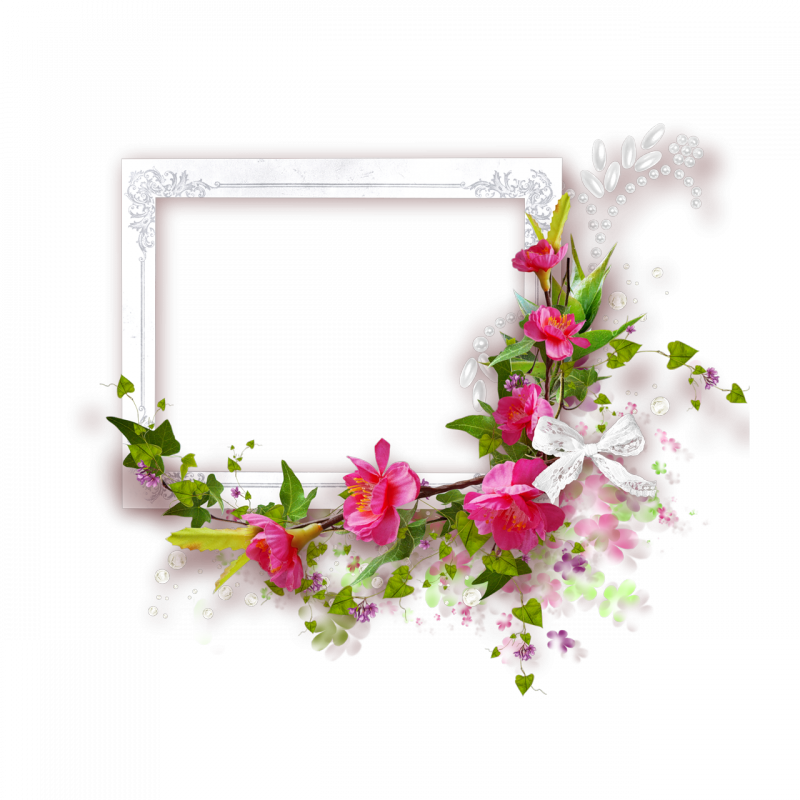 Gf Frame Floral, Writing Paper, Png Photo, Scrapbook - Imagens De Fundo Com Flores Png (800x800), Png Download