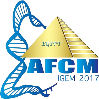 Toggle Navigation - .org (500x499), Png Download