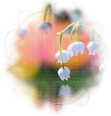Loly33 Fond Muguet - Flower (400x400), Png Download