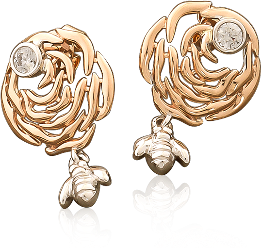Earrings (820x590), Png Download