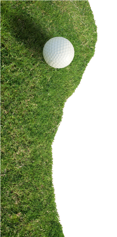 Golf Png High-quality Image - Golf: Learn To Play And Have Fun (539x790), Png Download