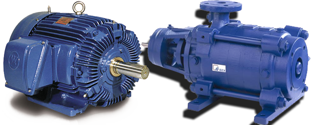 Image01 - Teco Hb0304 30 Hp, 1800 Rpm, 460 Volts, Tefc, 286t (621x250), Png Download