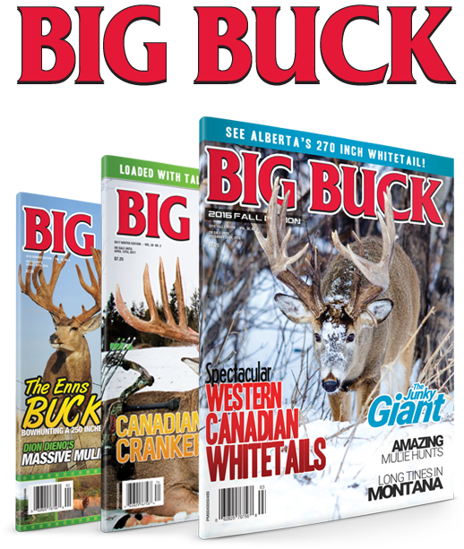 3 Years $60 - Design (522x660), Png Download