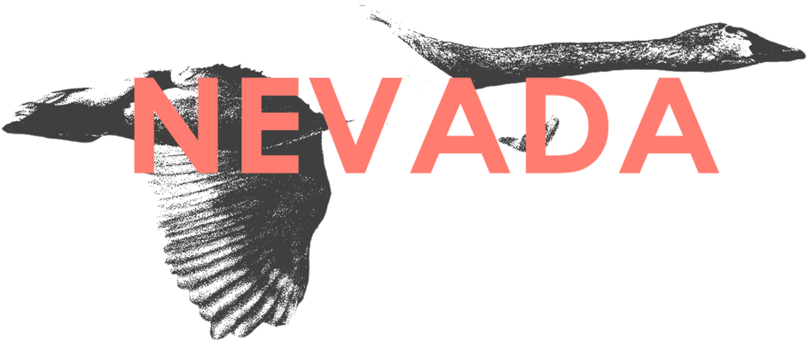 Nevada - Portable Network Graphics (1000x1000), Png Download