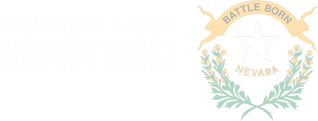 Nevada Most Wanted - Nevada 5ftx8ft Nylon State Flag 5x8 Made (1224x466), Png Download