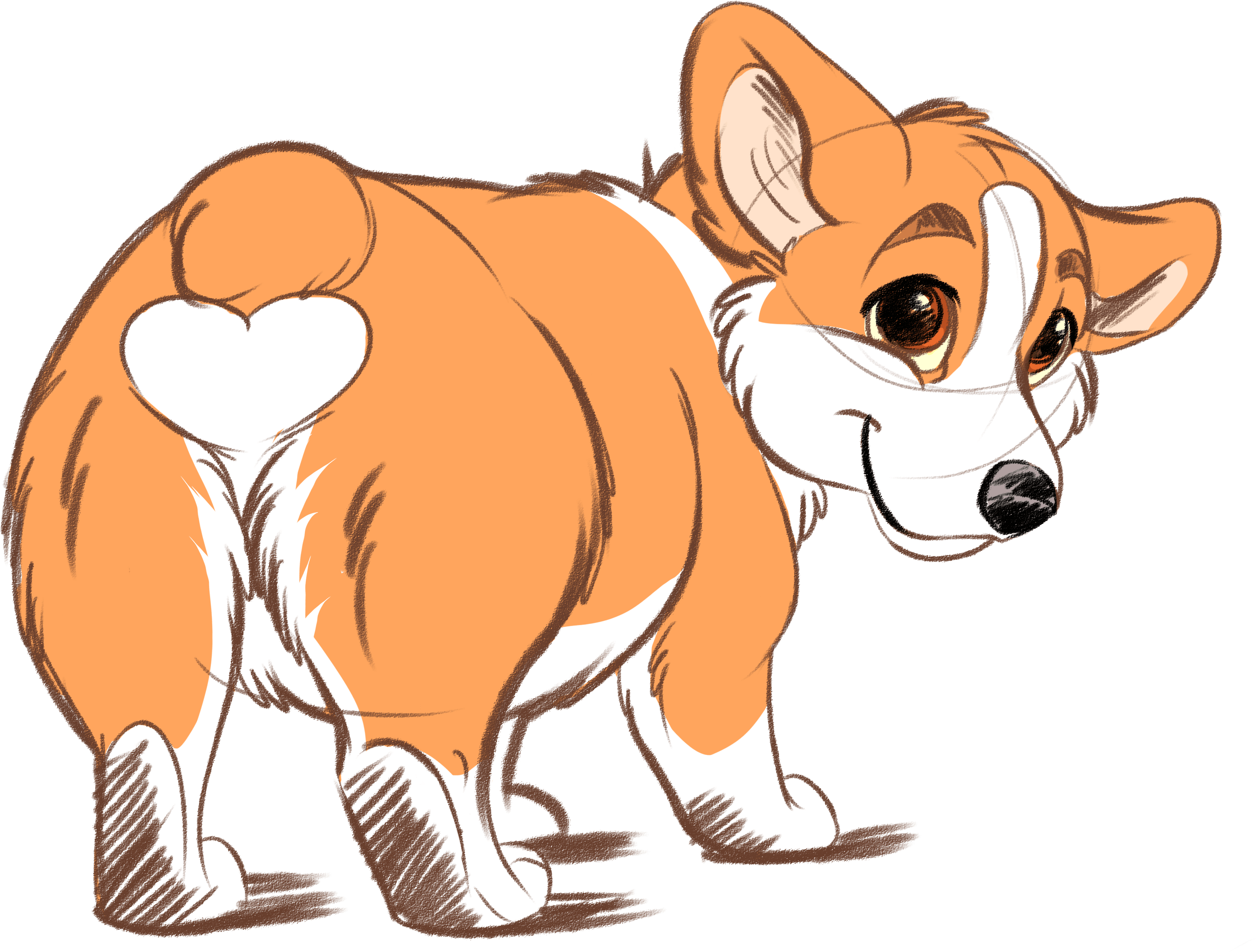Corgi Butt Png - Corgi Butt (3509x2521), Png Download