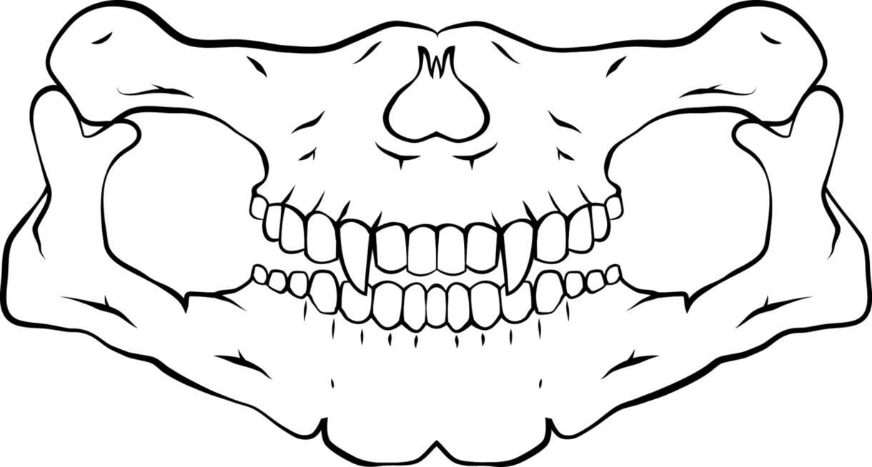 Download Skull Bandana Png Skull Mouth Scarf Png Png Image With No Background Pngkey Com