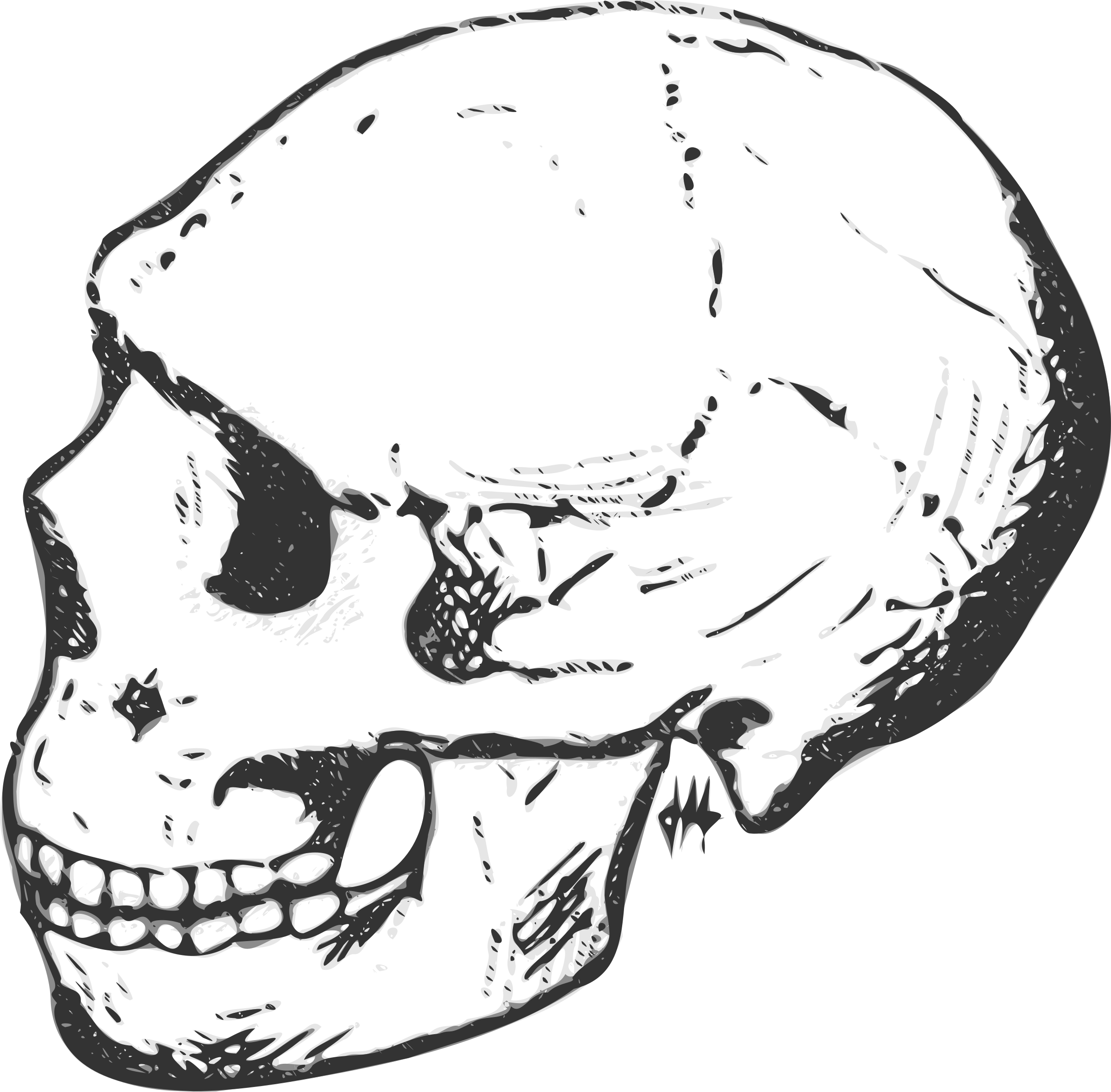 Big Image - Skull Clipart (2400x2359), Png Download