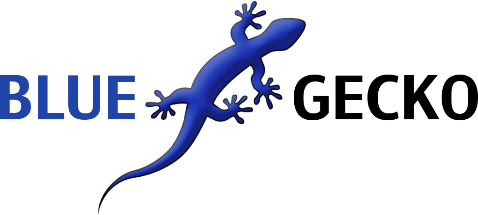 Blue Gecko Web Design - Gecko (973x438), Png Download