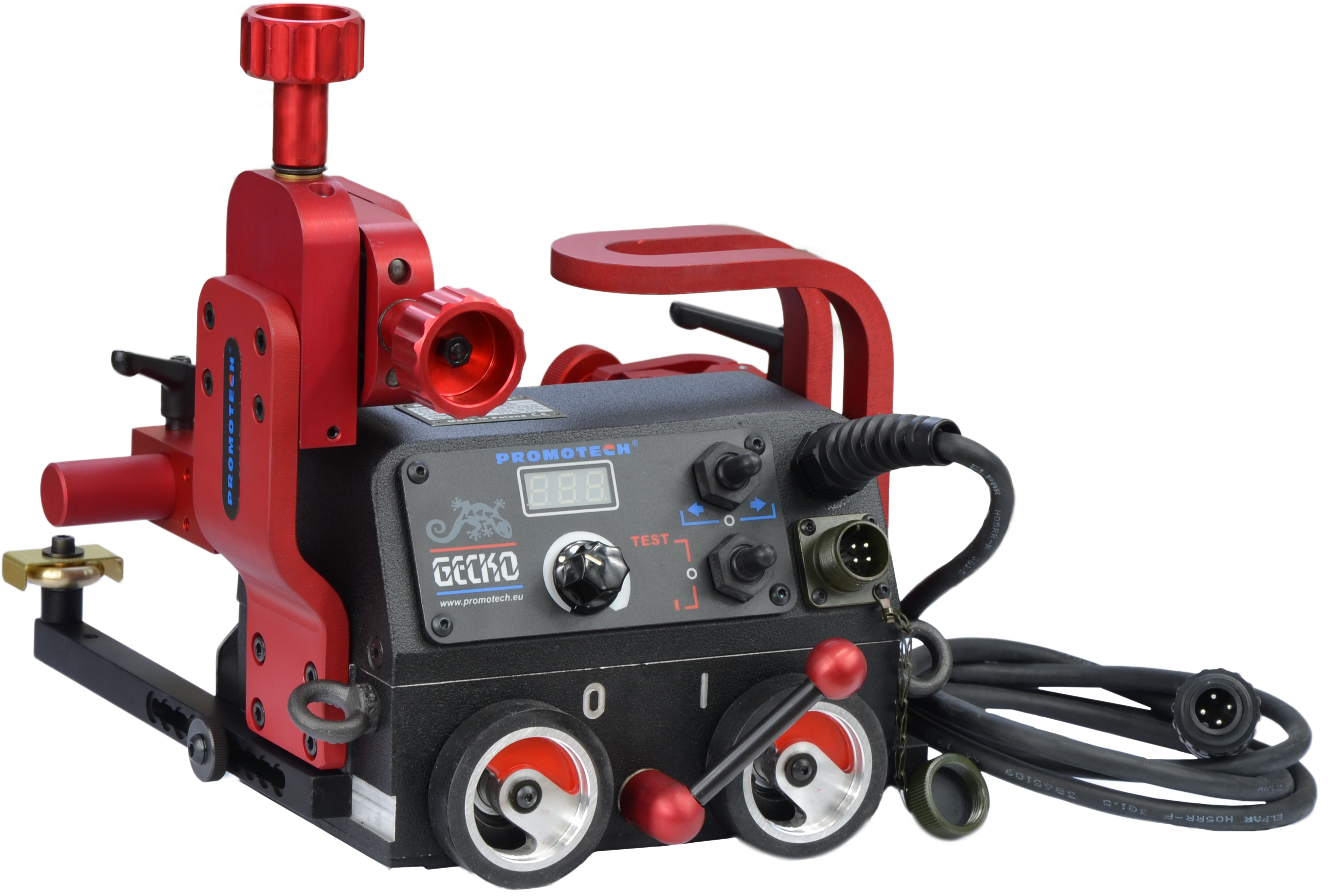 Gecko (4928x3264), Png Download