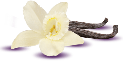 Post Navigation - Vanilla Icon Png (500x500), Png Download