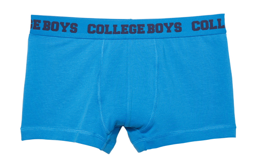 Boys' Underwear, Blue Boxer Briefs - Underpants (500x500), Png Download