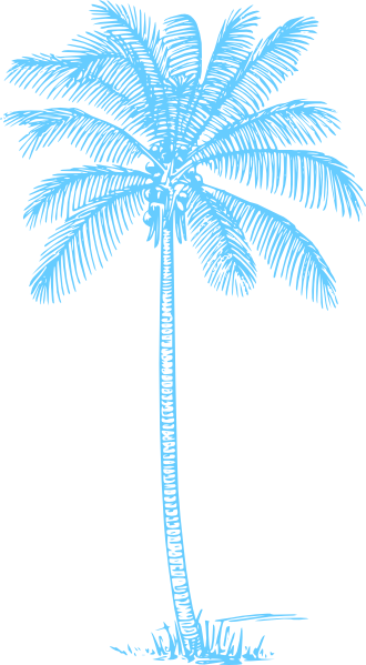 Small - Coconut Tree Pencil Drawing (330x599), Png Download