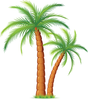 Palmeras Png - Idaman Permai Resort (374x419), Png Download