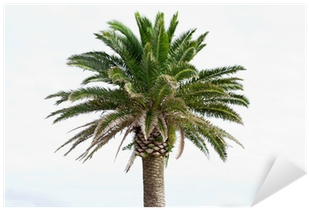 Painting (400x400), Png Download