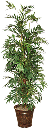 Palmera Bamboo - Bamboo (275x450), Png Download