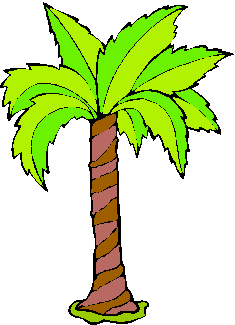 Palmeras Dibujo Animado Imagui (478x660), Png Download