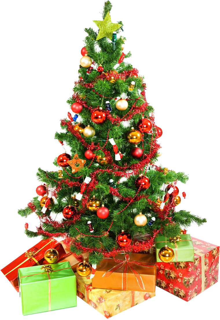 Christmas Tree - Arboles De Navidad En Png (760x1160), Png Download