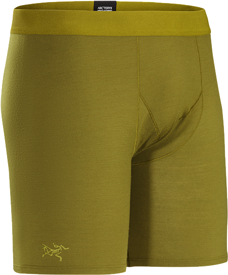 Midweight Merino Boxer Delivering Wool Performance - Arc'teryx Satoro Ar Boxer Men's (450x625), Png Download