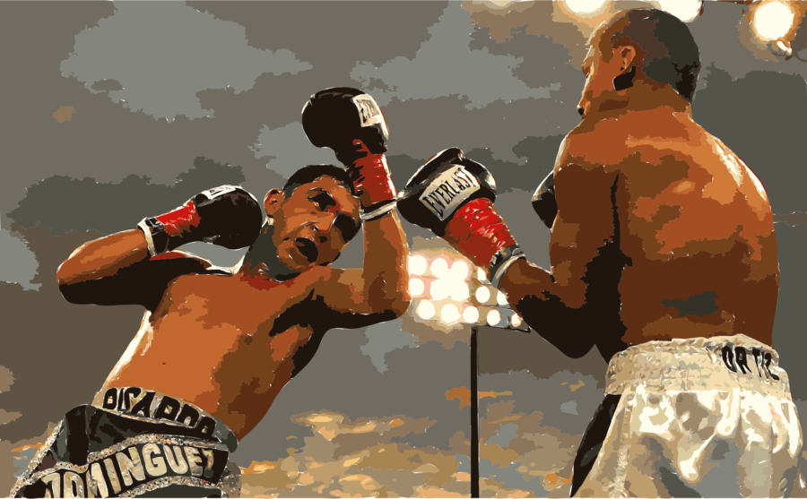 A Worldwide Record Of Bouts And Boxers Clipart Rubén - Box Wikipedia (900x557), Png Download