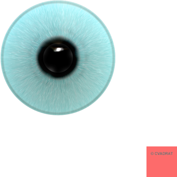 Circle (800x800), Png Download