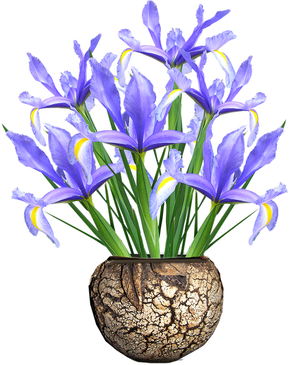 Go To Image - Blue (699x720), Png Download