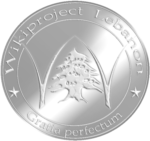 Wikiproject Lebanon Silver Medal - Silver (678x621), Png Download