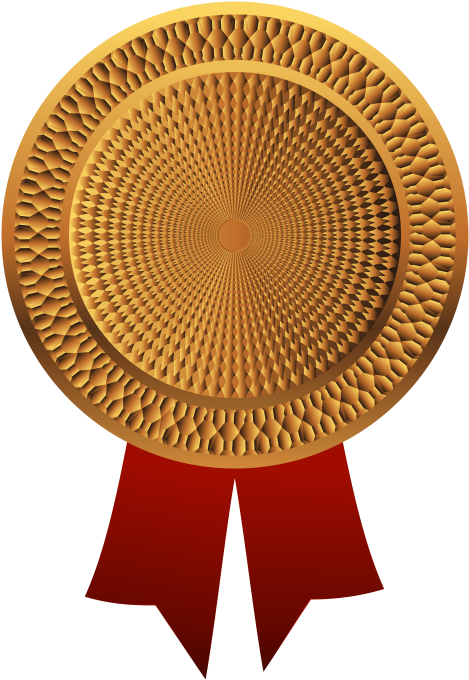 Free Png Bronze Medal Png Images Transparent - Bronze Medal Png Transparent (480x697), Png Download